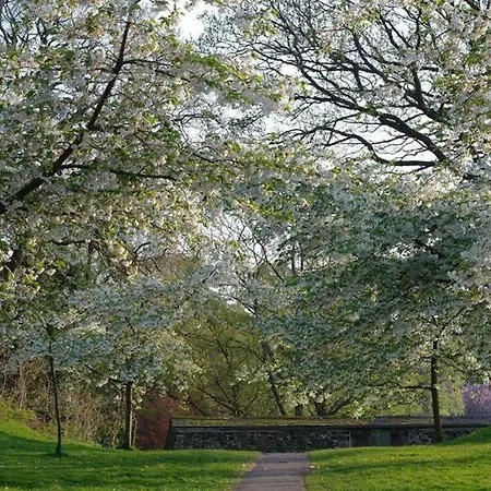 The Cats Bield * קזיק